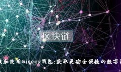 如何快速下载和使用Biteep钱包：获取更安全便捷