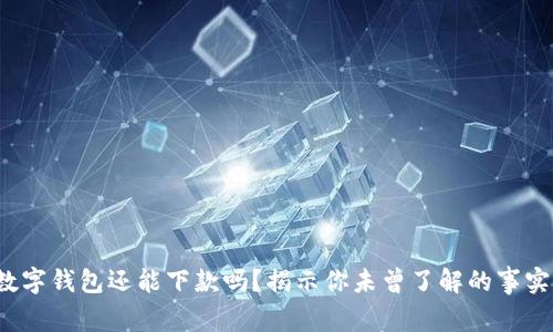 数字钱包还能下款吗？揭示你未曾了解的事实！
