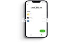 在讨论LTC（莱特币）钱包私钥及其密码管理之前