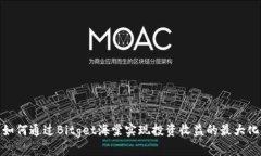 如何通过Bitget海棠实现投资收益的最大化