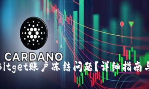如何解决Bitget账户冻结问题？详细指南与有效策略