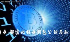 如何安全存储比特币：解密比特币钱包公钥与私
