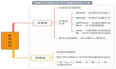 如何选择适合自己的比特币钱包：详细指南与技